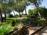 Casa vacanze Poggio ai Venti - giardino